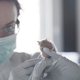 Illustration for article titled Biologists Announce They’re All Done With Rodents